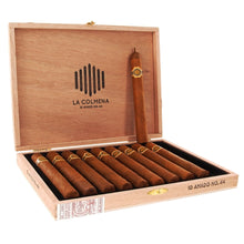 Load image into Gallery viewer, Warped - La Colmena No. 44