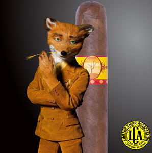 LCA - W.A. The FF Fox