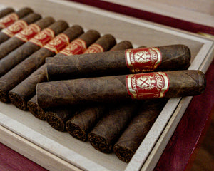 Micallef - Red Robusto