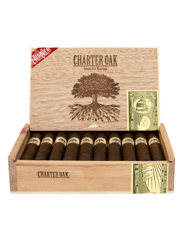 Foundation - Charter Oak CT Broadleaf (Grande)